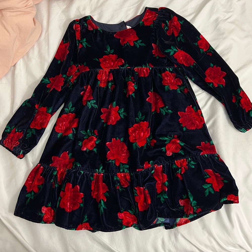 Janie and Jack Navy Velvet Dress with Red Floral Pattern